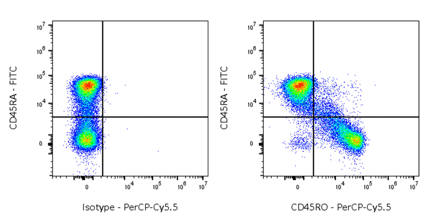PerCP-Cy5.5 Mouse Anti-Human CD45RO Antibody (UCHL1)