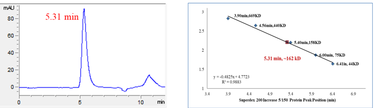 P38δ GST Tag Protein, Human