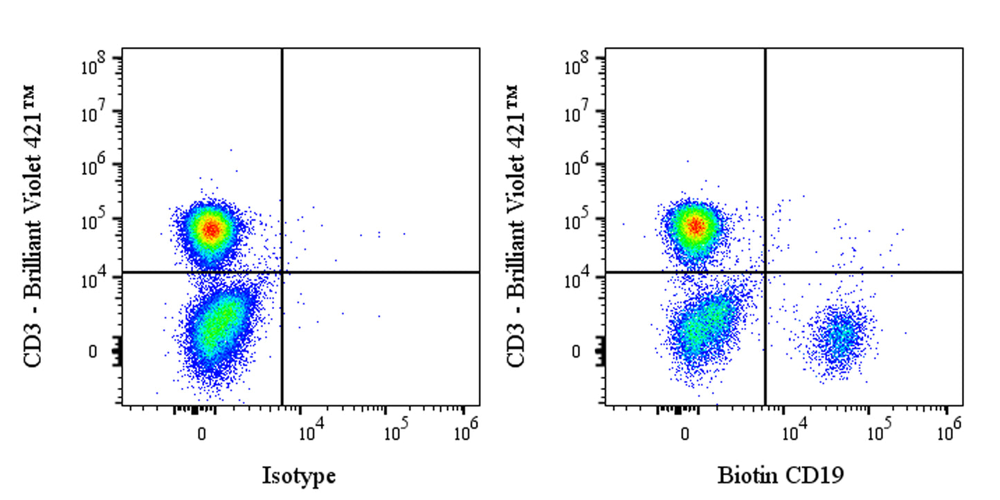 Biotin Rabbit Anti-Human CD19 Antibody (S-164-41)