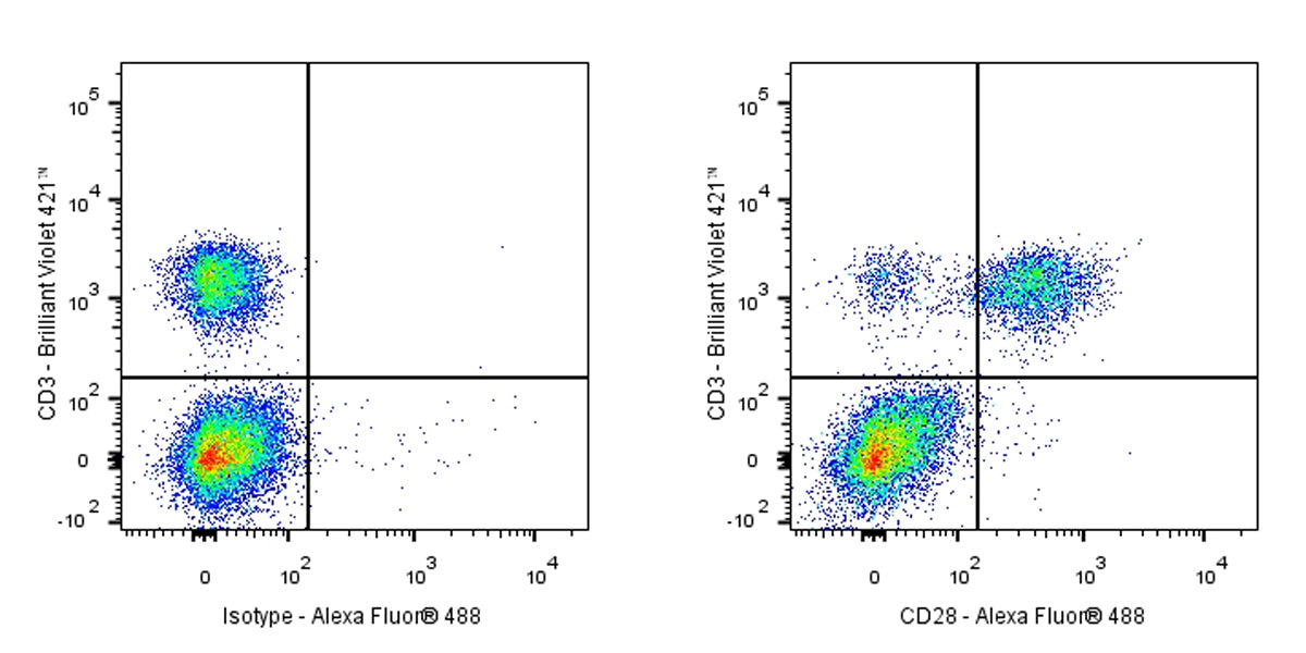 Alexa Fluor® 488 Mouse Anti-Human CD28 Antibody (CD28.2)