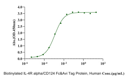 Biotinylated IL-4R alpha/CD124 Fc&Avi Tag Protein, Human