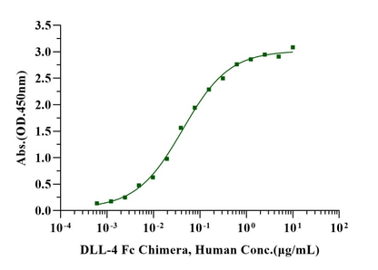 DLL-4 Fc Chimera Protein, Human