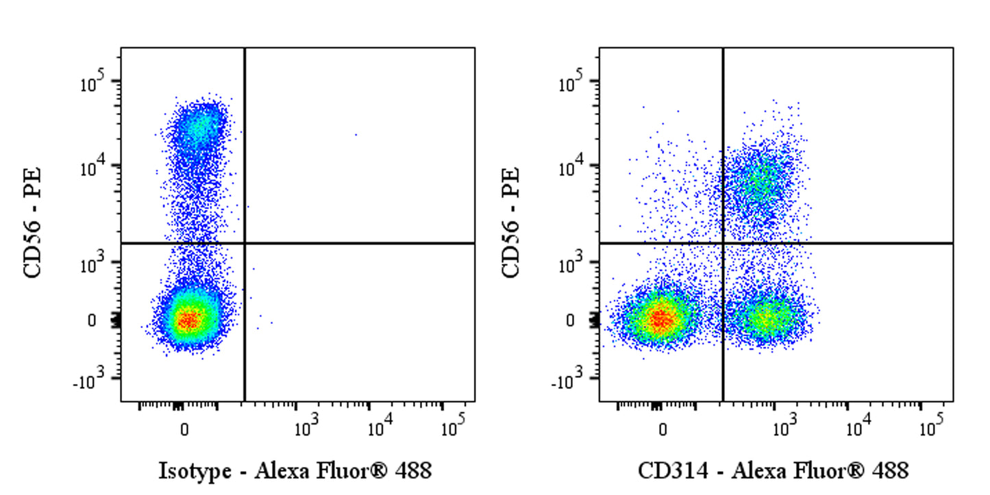 Alexa Fluor® 488 Mouse Anti-Human CD314 (NKG2D) Antibody (S-4154)