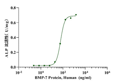 BMP-7 Protein, Human