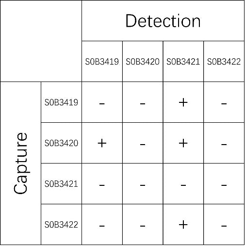 MMP9 Recombinant Rabbit mAb (SDT-1591-27)