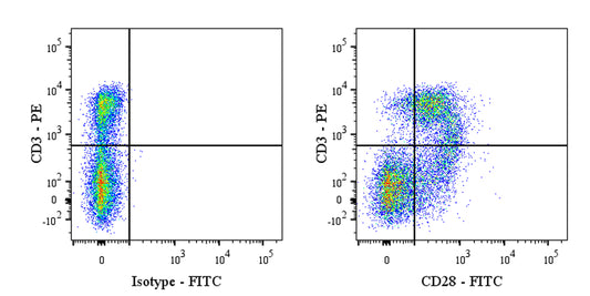 FITC Mouse Anti-Rat CD28 Antibody (JJ319)