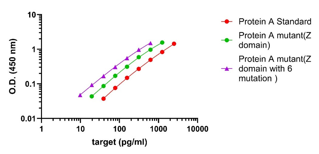 Protein A OneStep ELISA Kit