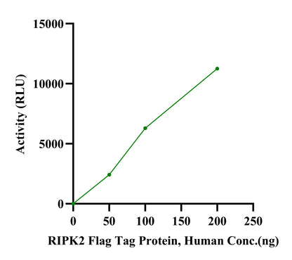 RIPK2 Flag Tag Protein, Human