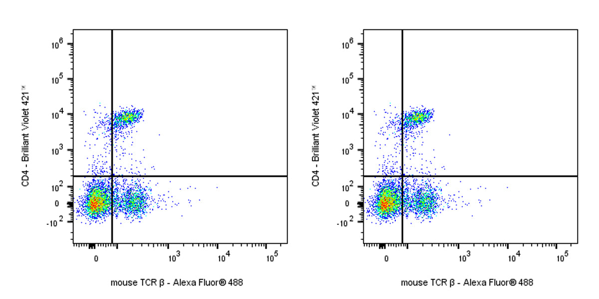 Armenian hamster Anti-Mouse TCR β Antibody (H57-597)