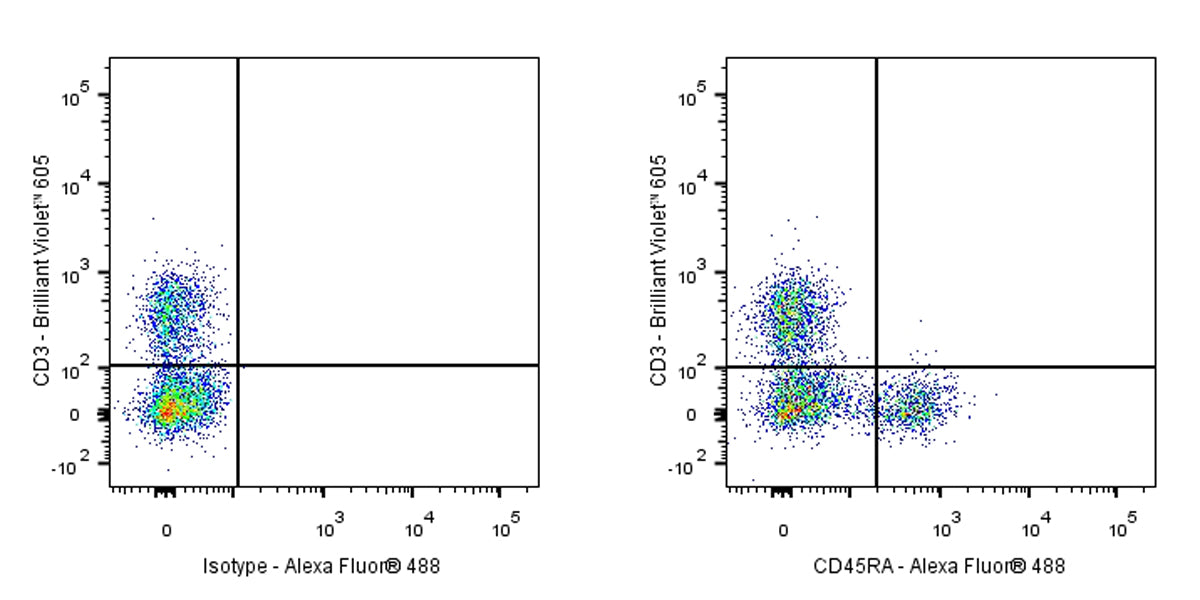 Mouse Anti-Rat CD45RA Antibody (OX-33)