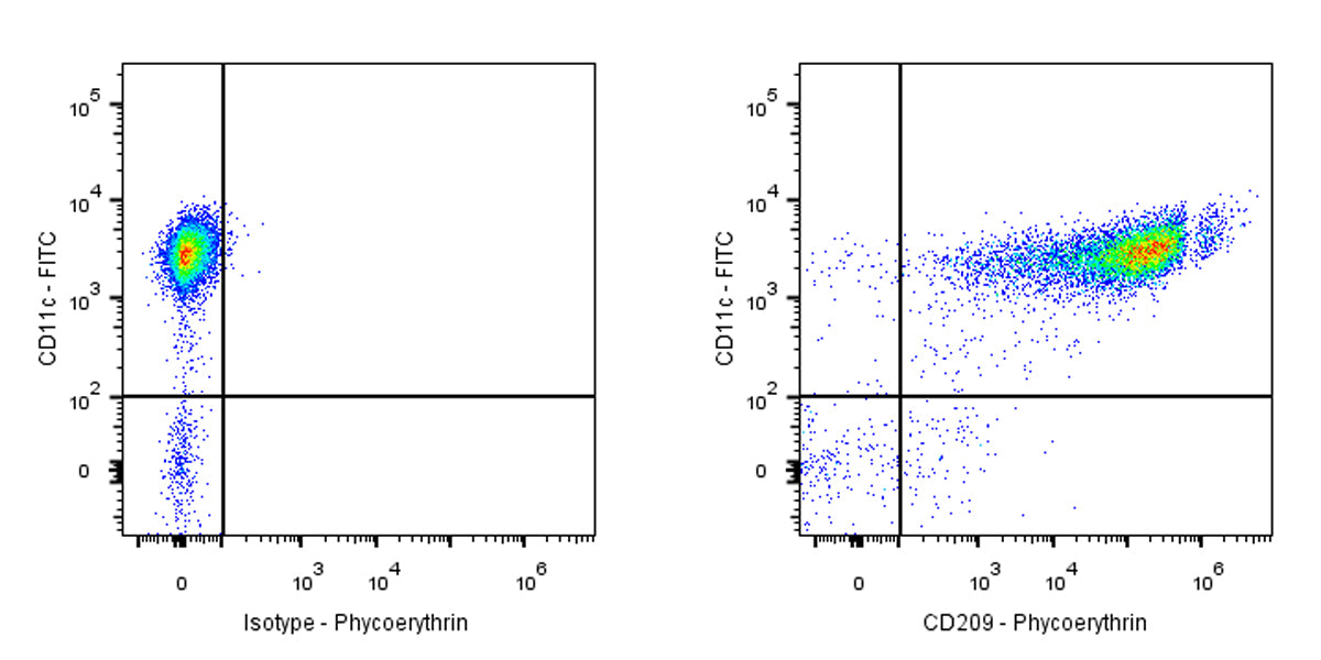 PE Mouse Anti-Human CD209 Antibody (S-2881)