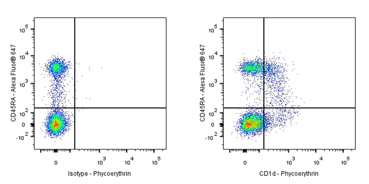 Mouse Anti-Rat CD1d Antibody (S-R701)