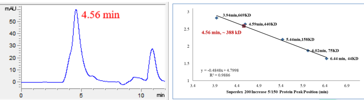 PK3C3 His&GST Tag Protein, Human