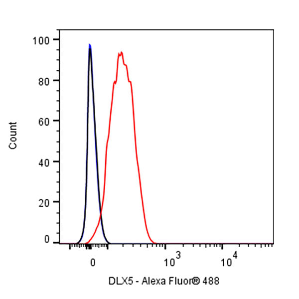 DLX5 Recombinant Rabbit mAb (S-2785-79)