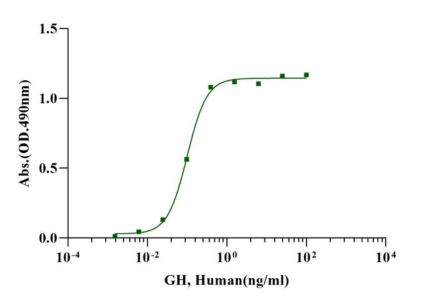Growth hormone Protein, Human