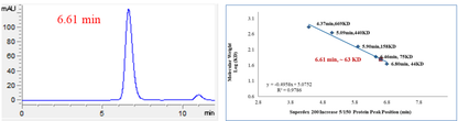 KIT Strep Tag Protein, Human