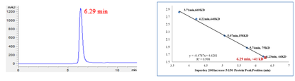 PIM2 Protein, Human