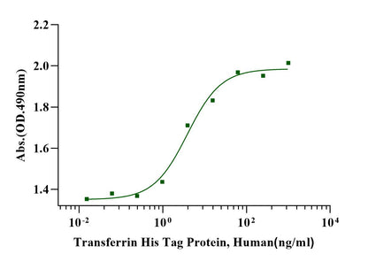Transferrin His Tag Protein, Human