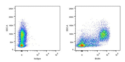 Anti-Biotin Recombinant Rabbit mAb (S-3083)