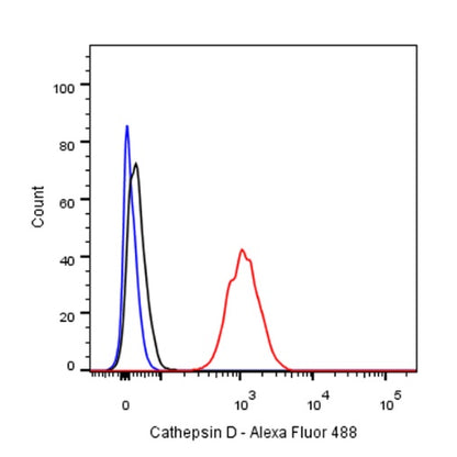 Cathepsin D Recombinant Rabbit mAb (S-R208)