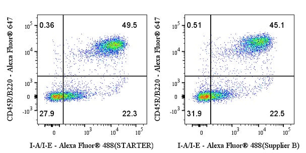 Staining Buffer (BSA)