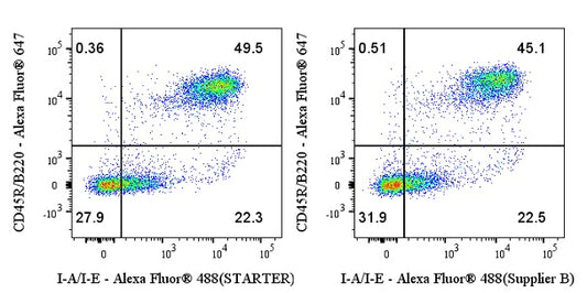 Staining Buffer (BSA)