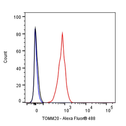 TOM20 Recombinant Rabbit mAb (SDT-2553-11)