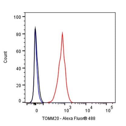 TOM20 Recombinant Rabbit mAb (SDT-2553-11)