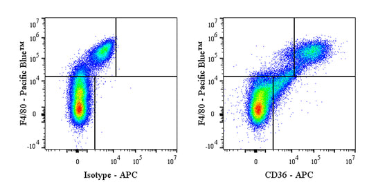 APC Armenian hamster Anti-Mouse CD36 Antibody (HM36)