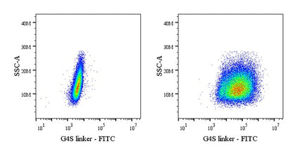 G4S Linker Recombinant Rabbit mAb (FITC Conjugate) (S-711-23)