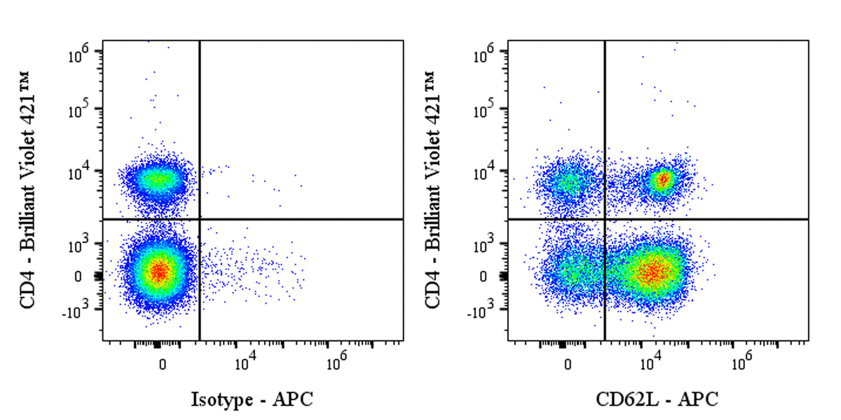 APC Rat Anti-Mouse CD62L Antibody (MEL-14)