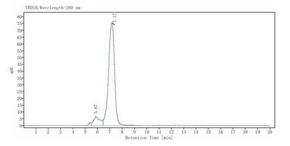 gp130/CD130/IL-6 Rβ His Tag Protein, Human