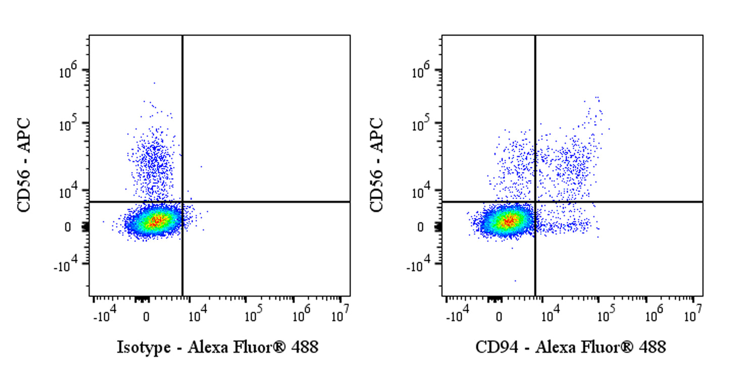 Alexa Fluor® 488 Rabbit Anti-Human CD94 Antibody (S-2616-17)