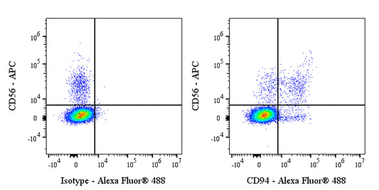 Alexa Fluor® 488 Rabbit Anti-Human CD94 Antibody (S-2616-17)