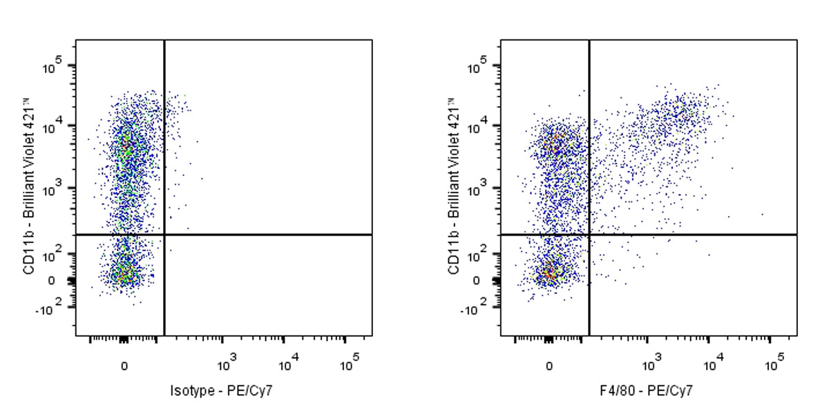 PE-Cy7 Rat Anti-Mouse F4/80 Antibody (S-R537)
