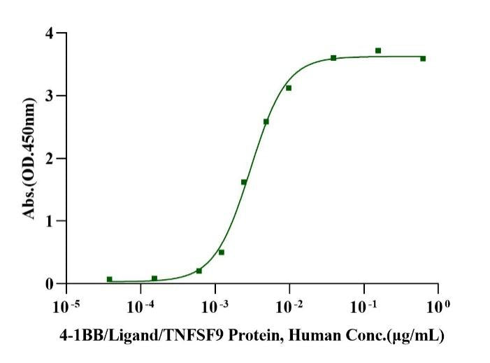 4-1BB Ligand/TNFSF9 His Tag Protein, Human