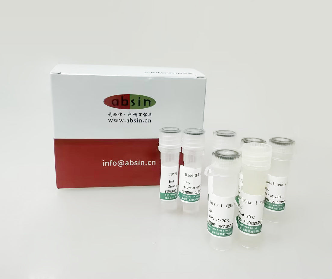 TUNEL apoptosis kit (red fluorescence)