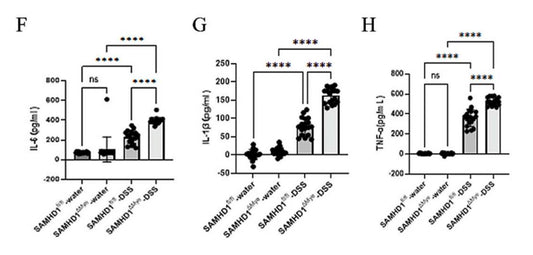Mouse TNF-α ELISA Kit