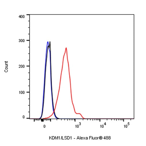 KDM1/LSD1 Recombinant Rabbit mAb (S-1280-80)