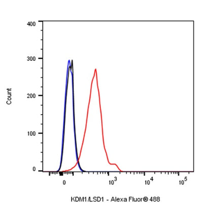 KDM1/LSD1 Recombinant Rabbit mAb (S-1280-80)
