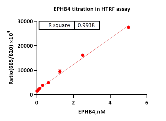 EPHB4 Protein