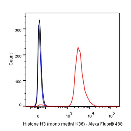 Histone H3 (mono methyl K36) Recombinant Rabbit mAb (S-R211)