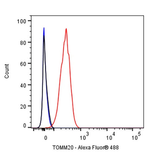 TOM20 Recombinant Rabbit mAb (SDT-2553-11)