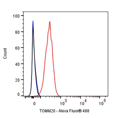 TOM20 Recombinant Rabbit mAb (SDT-2553-11)