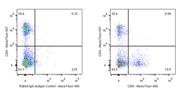 Rabbit mAb IgG Isotype Control (S-240-1)