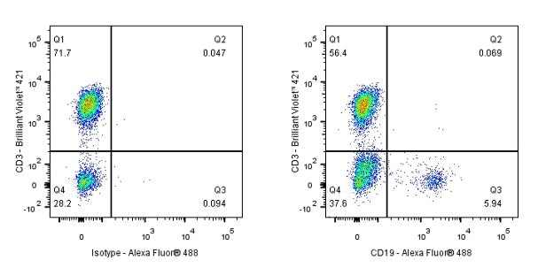 Mouse Anti-Human CD19 Antibody (4G7)