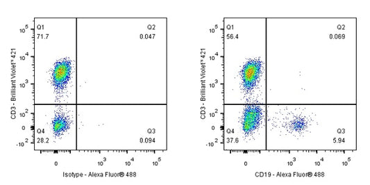 Mouse Anti-Human CD19 Antibody (4G7)