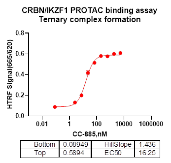 IKZF1 GST Tag Protein, Human