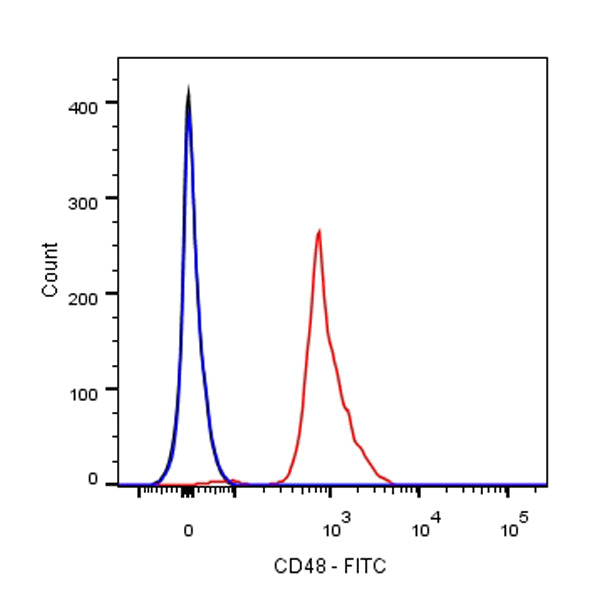 FITC Armenian hamster Anti-Mouse CD48 Antibody (HM48-1)