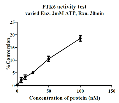 PTK6 His&GST Tag Protein, Human
